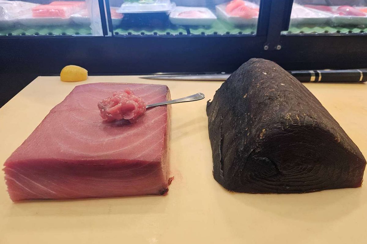A freshly cut face of bluefin tuna beside the dark, dry-aged crust of the same loin